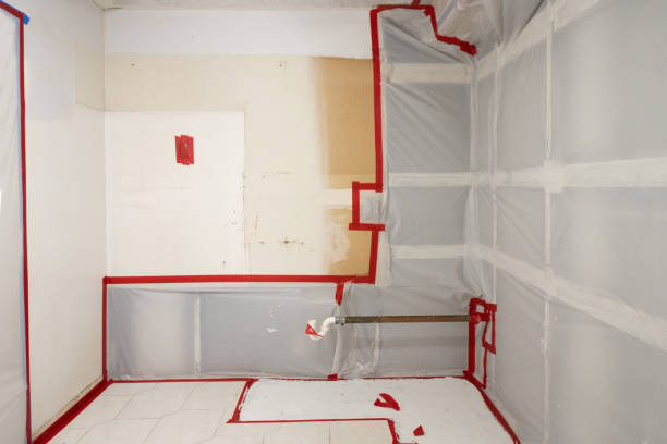 Professional Mold Removal in Duncansville, PA